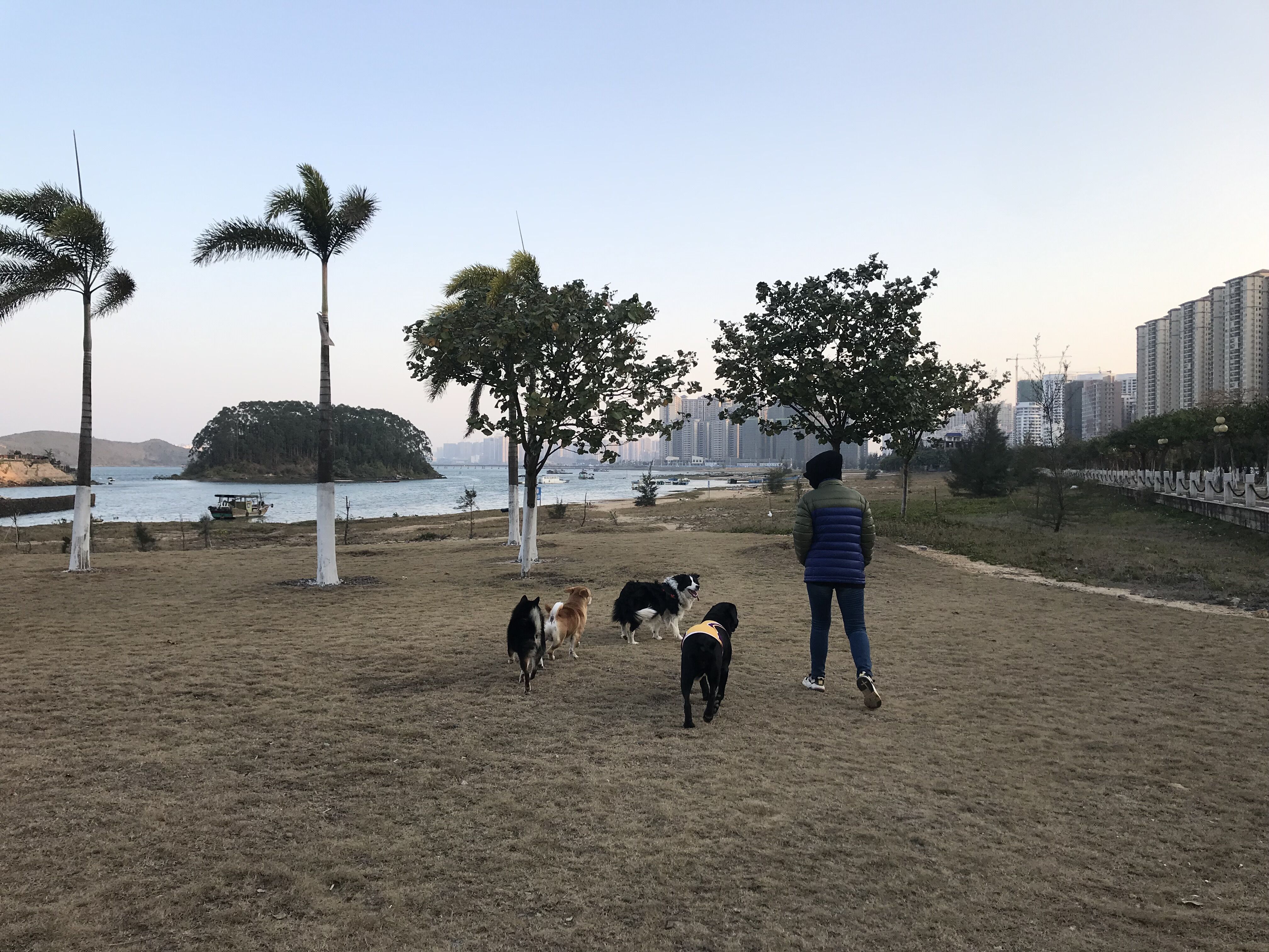 又见东兴,故地重游口岸都关闭了,不同时间不同伙伴不同心情