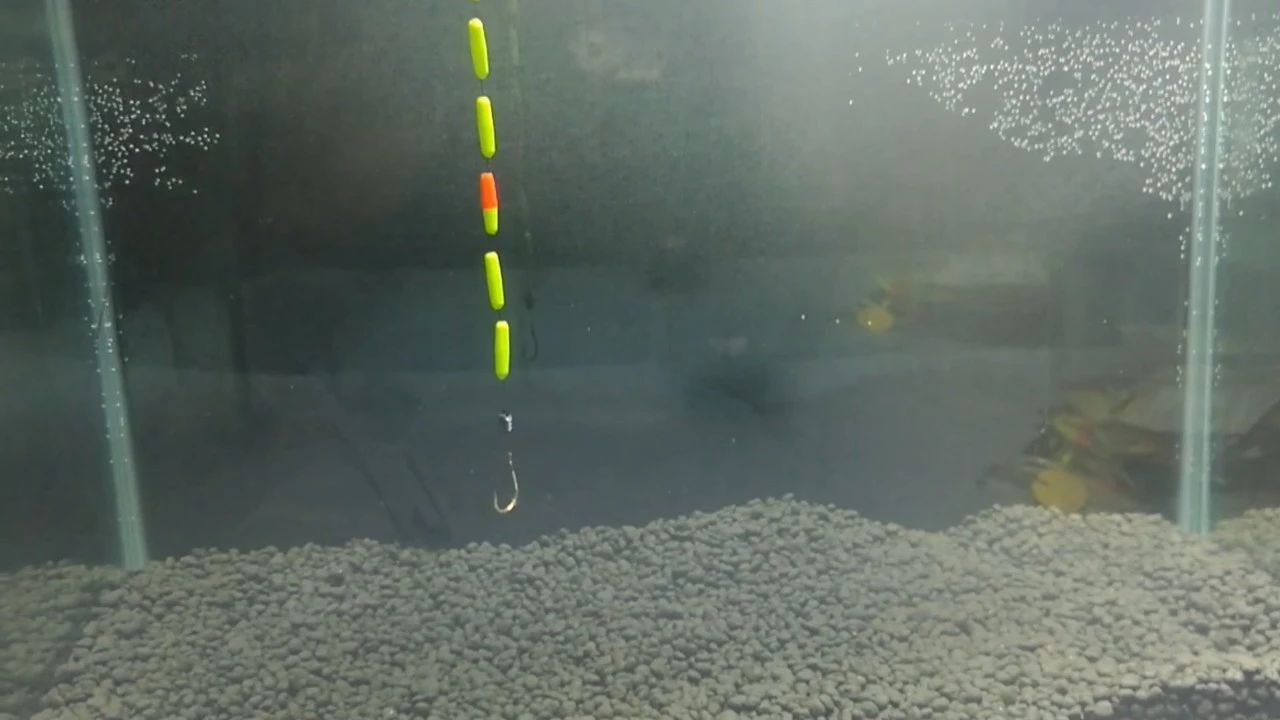 逗钓实操调漂技巧图解大全,钓鱼传统钓法是怎么调漂的