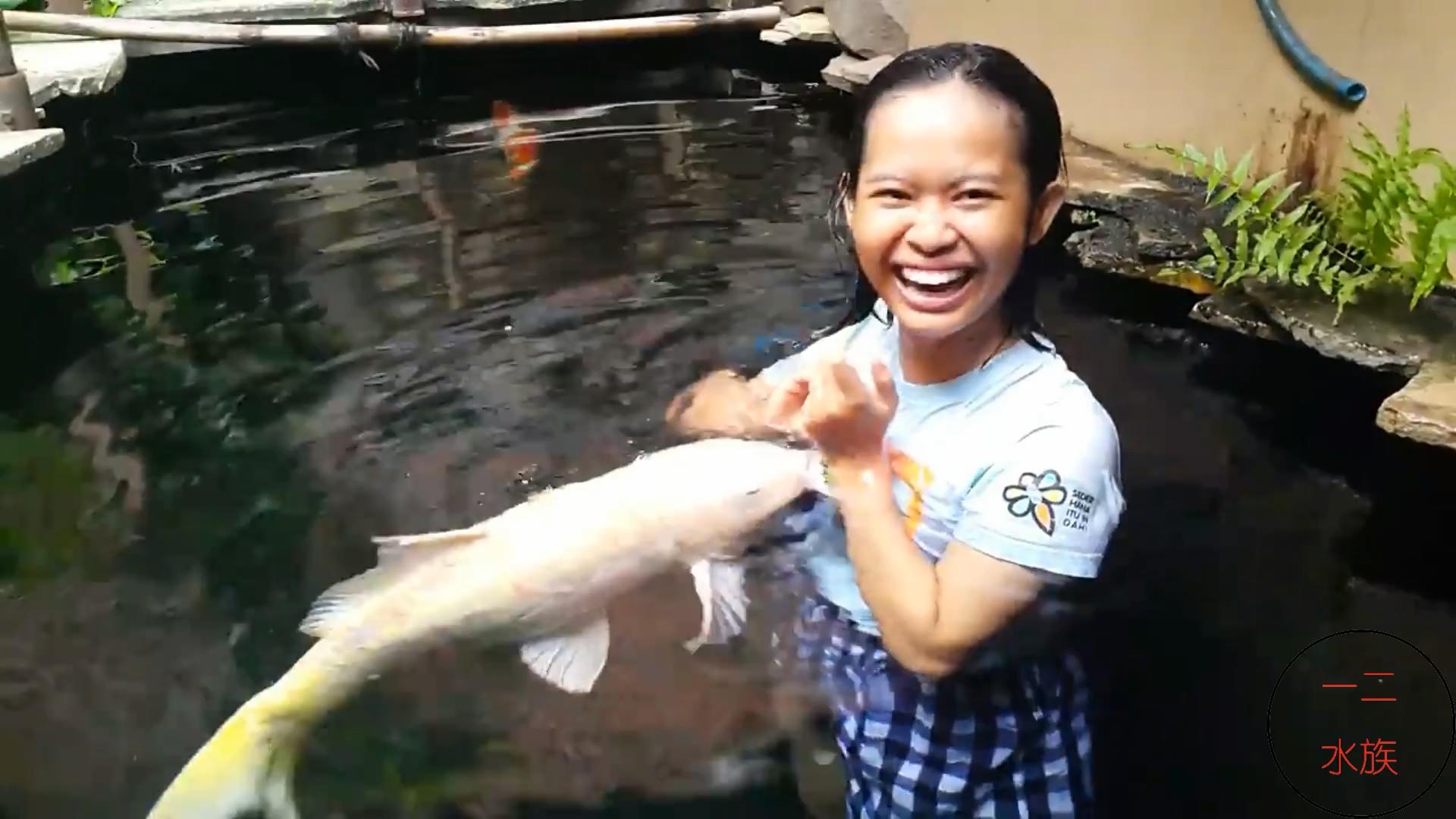 金鱼不能跟乌龟一起养吗,金鱼不能和野生鱼一起养吗