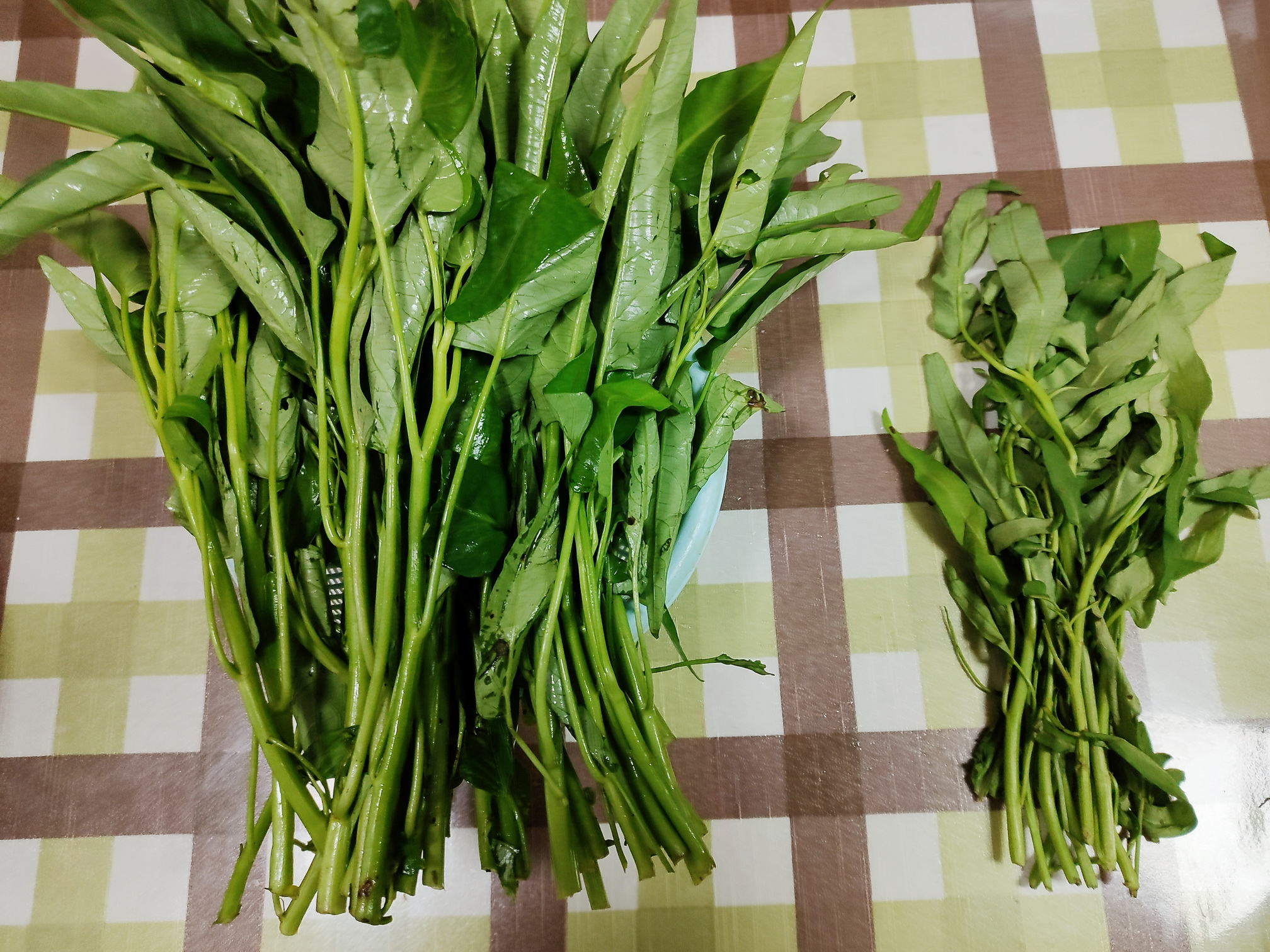 海信259升三门节能冰箱,海信1级4开门无霜节能冰箱价位