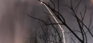 惹起众怒群众犯法吗,惹众怒会怎样