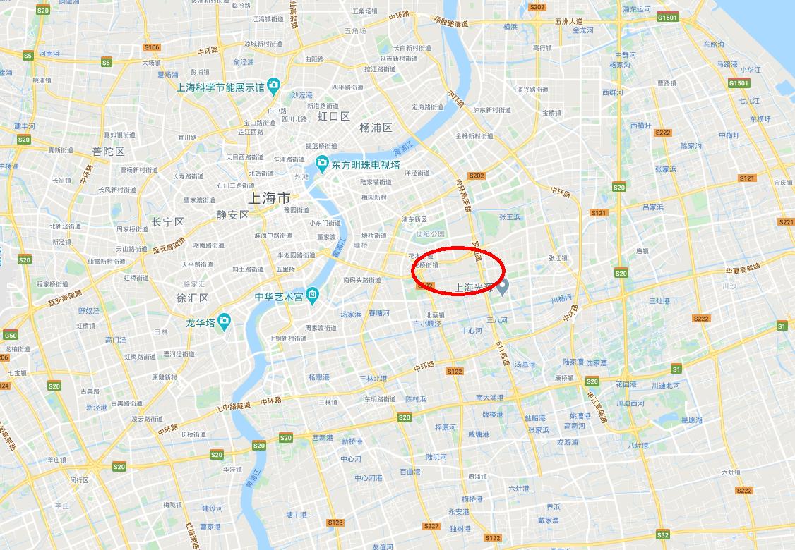 上海浦东龙阳路未来规划,龙阳路综合交通枢纽项目设计方案