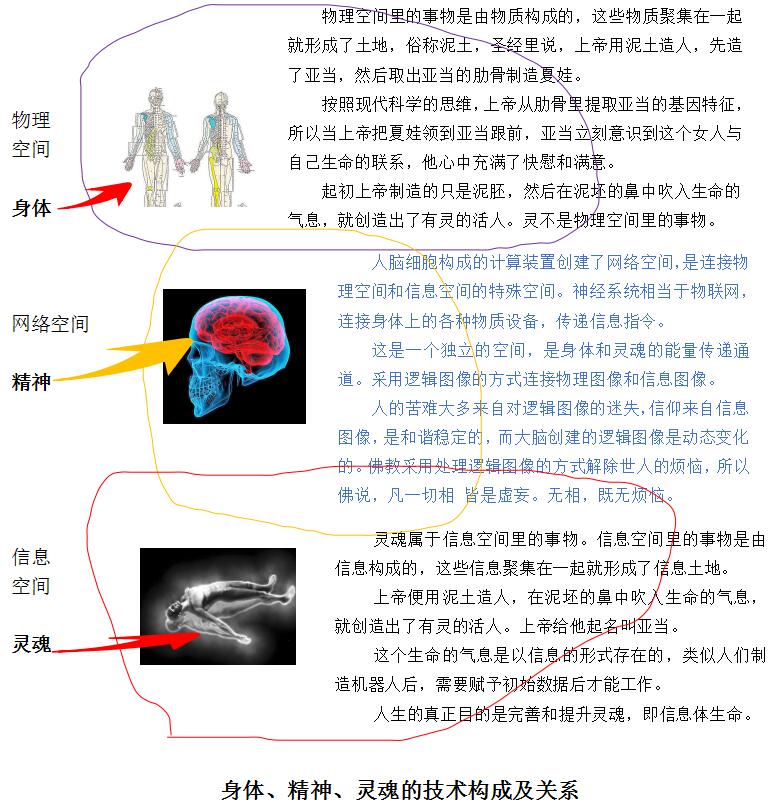 赵文银简介,赵文银个人资料