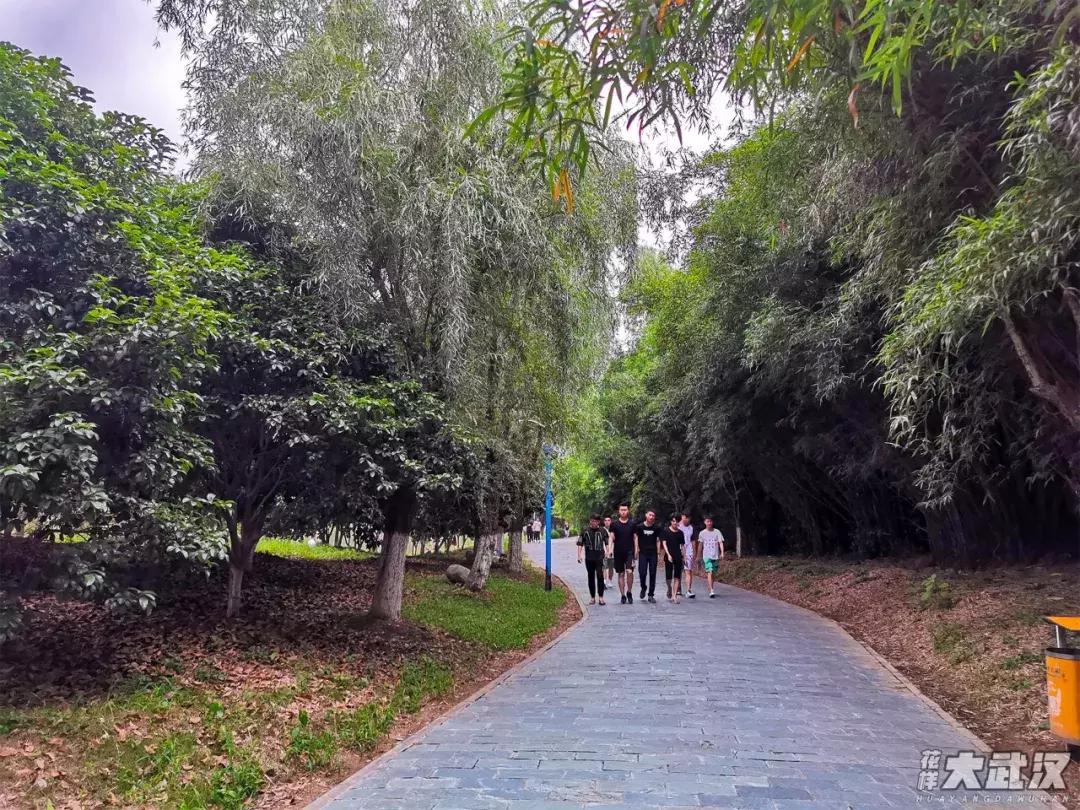 武汉科技大学的机械学院,武汉科技大学医学院和临床学院