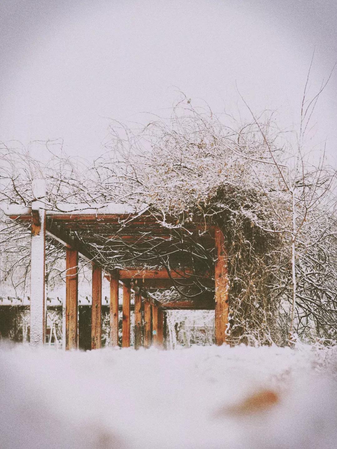 天津公办3+2本科学校有哪些,天津市专升本天津师范大学