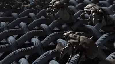 清理黑头痘痘的治愈过程,祛痘痘痘印黑头用什么好