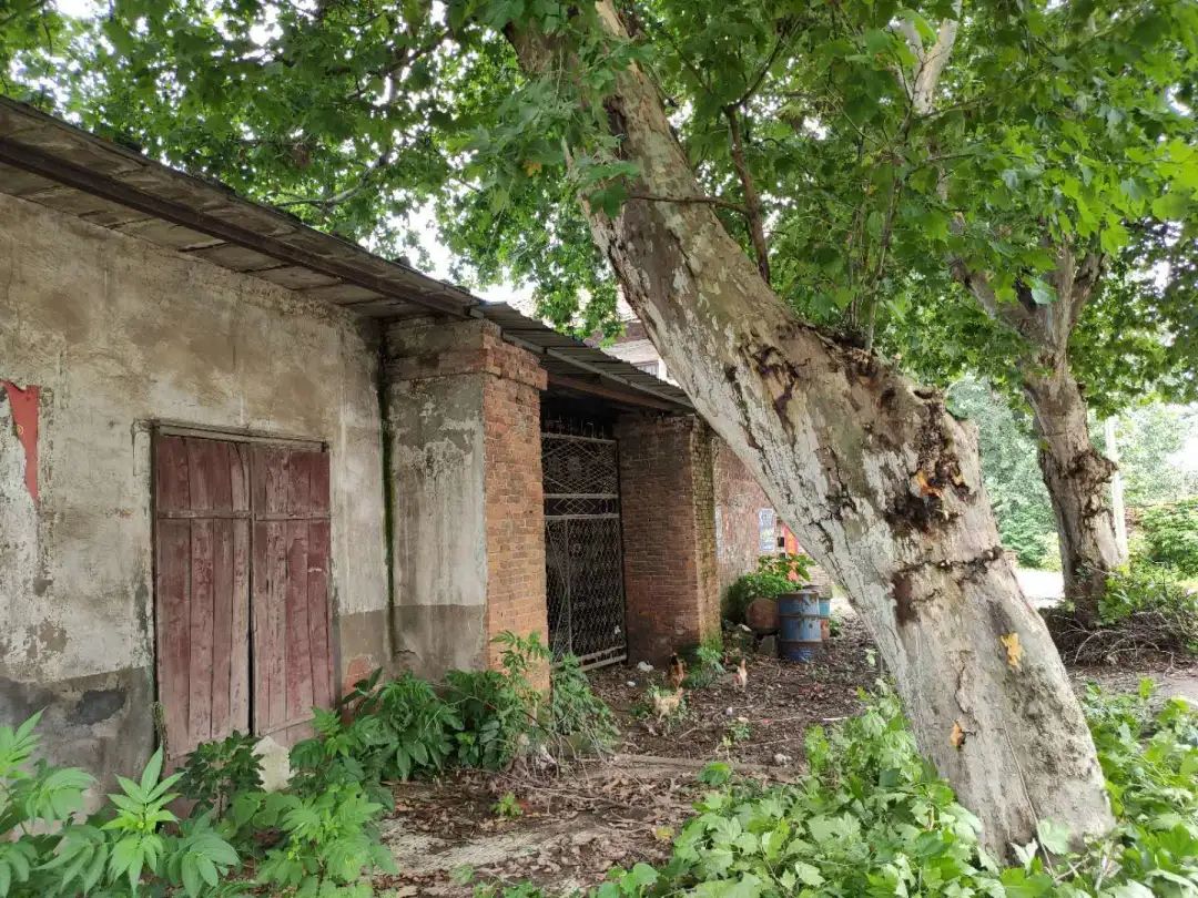 90年代白湖砖瓦厂,新华砖瓦厂