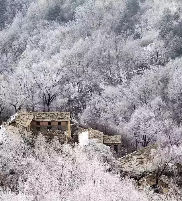 雾凇之美宛若仙境,连云港花果山雾凇美得像仙境