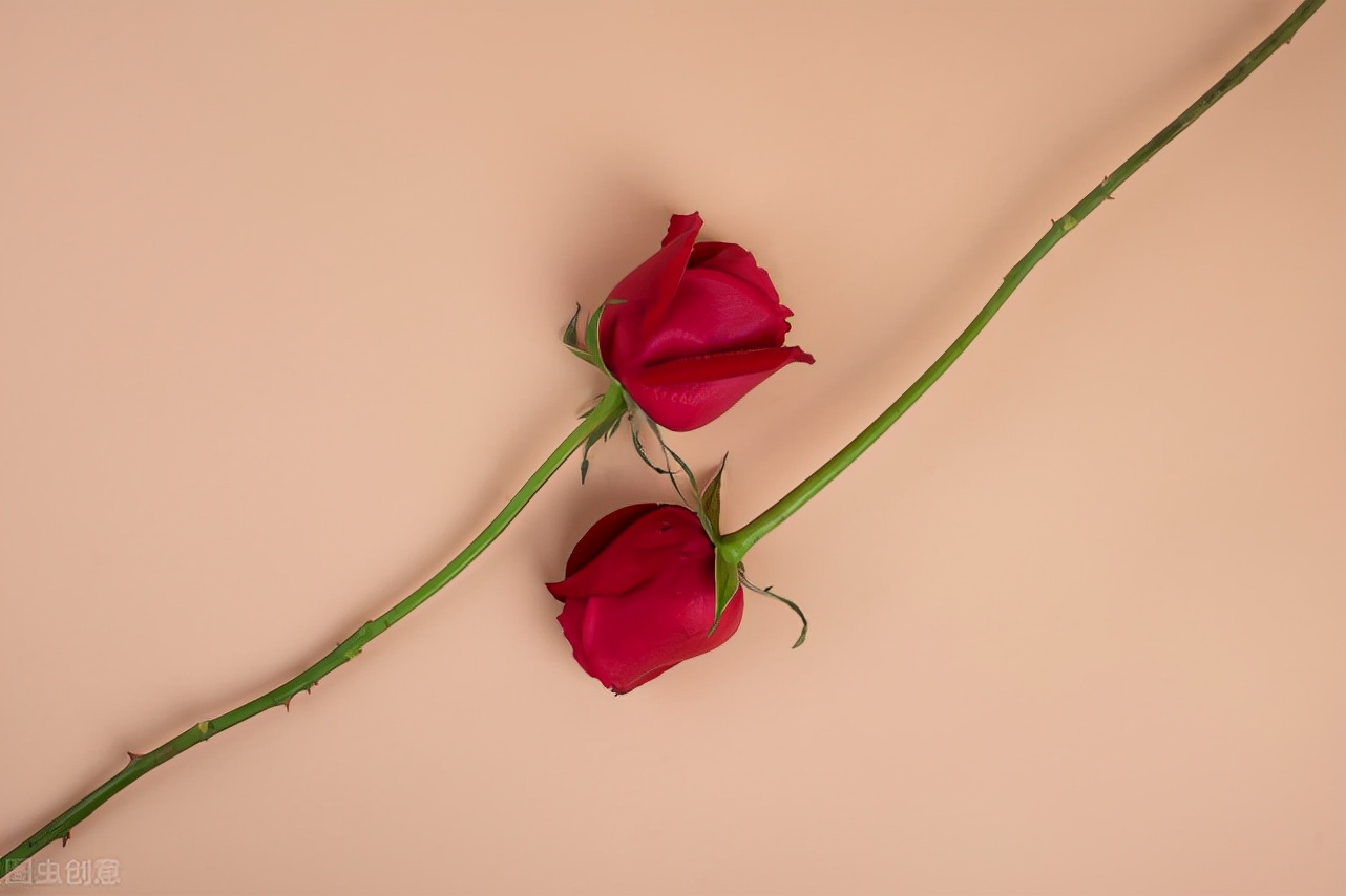 该如何跟伴侣沟通？4个小习惯、让你们的感情不降温