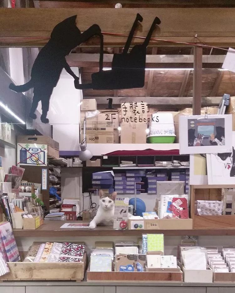 最好逛的文具店,值得去探店的店铺推荐