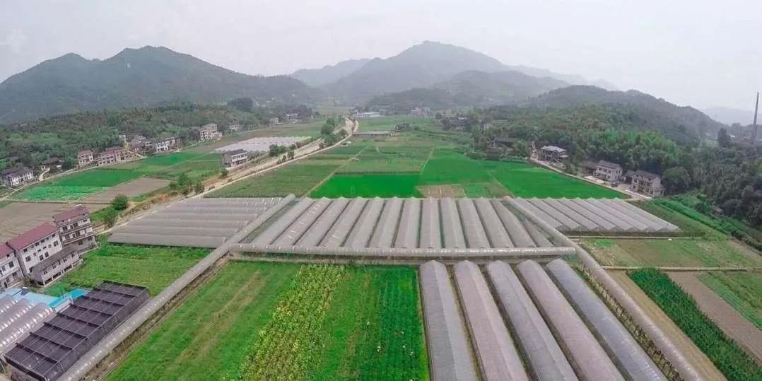 城乡面貌日新月异人居环境改善,怀化市农村人居环境三年行动方案