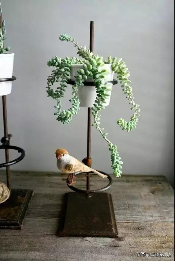 有书房的家庭和没书房的家庭,拥有自己独立的书桌