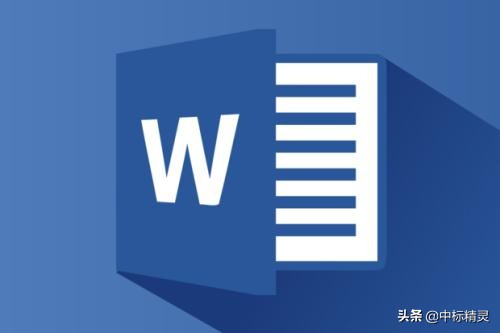 做标书word排版技巧大全,用word文档做标书如何生成目录