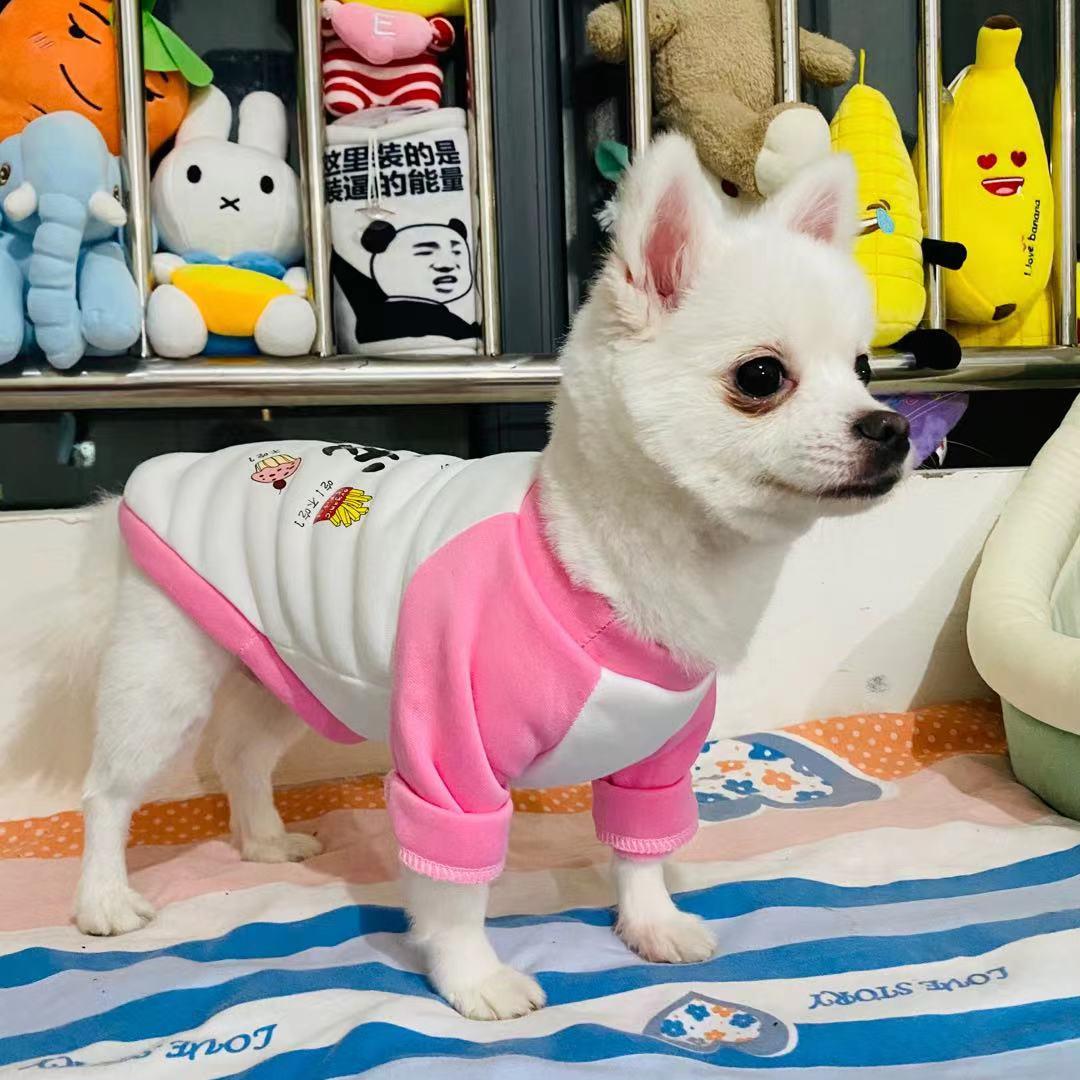 狗狗流鼻涕怎么办最有效的方法,小狗狗流鼻涕该怎么治