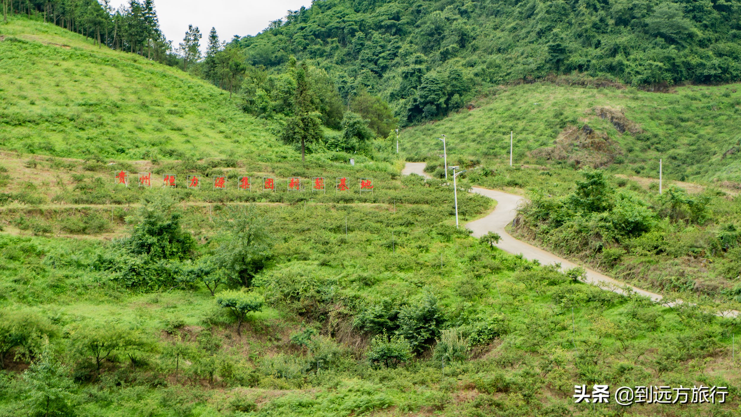 贵州的“香格里拉”，满山都是“黄金果”，不收门票免费玩