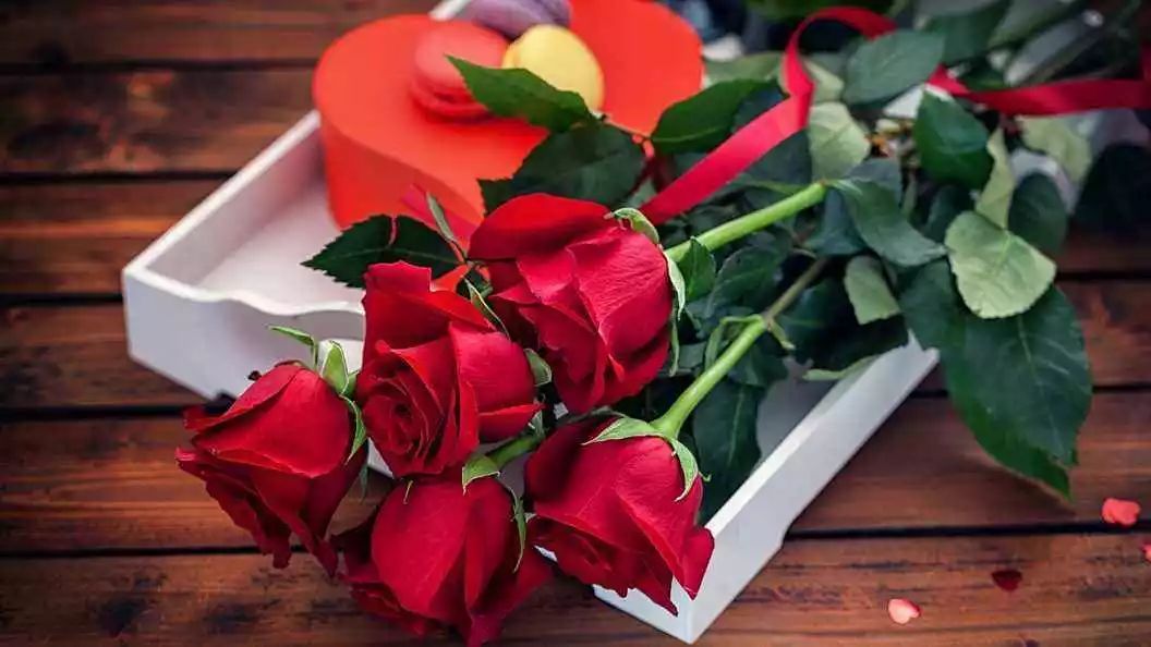 生活中常见的花语大全,生活中常见花卉花语