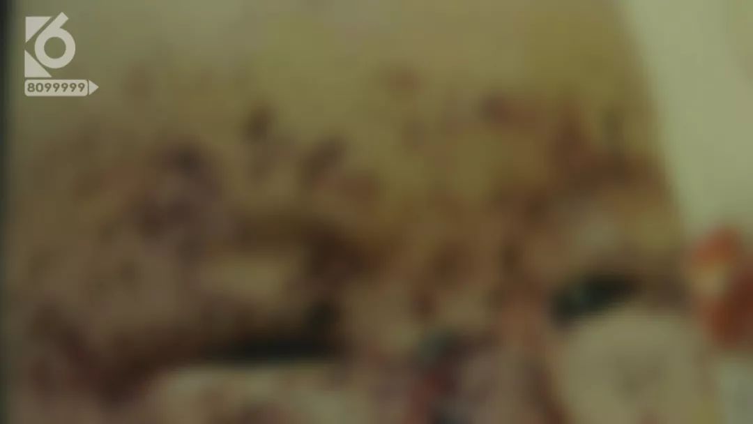 老鼠啃三个月婴儿事件,婴儿熟睡时被老鼠啃食新闻