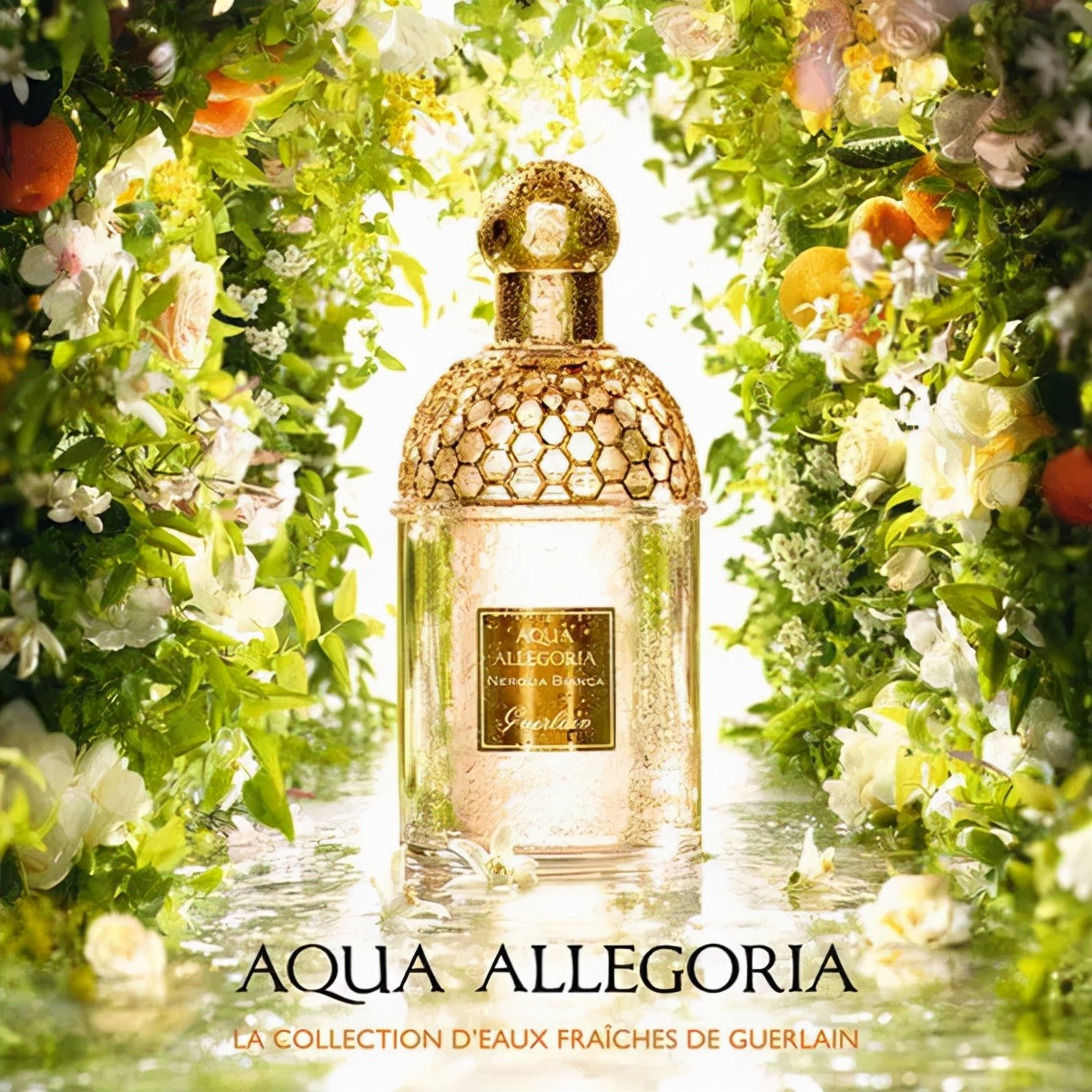 唯一一瓶必买的秋冬高级香水,无法拒绝的香水系列小众高级百搭