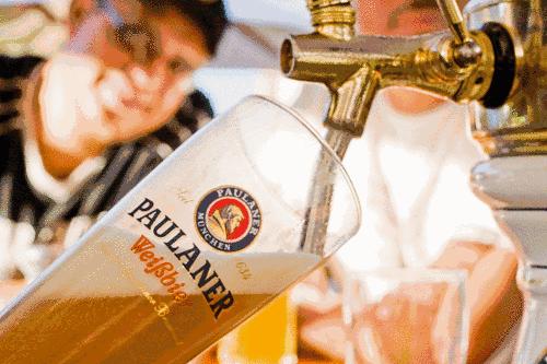 单身狗保护条例,单身狗防伤害地图指南