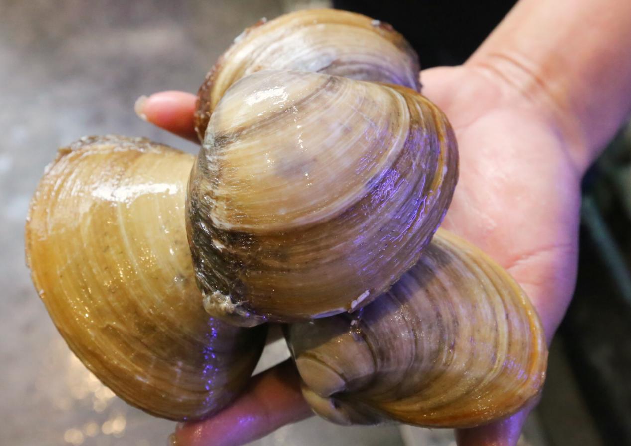 品尝厦门最美味的海鲜大餐,探索厦门风光体验海鲜盛宴