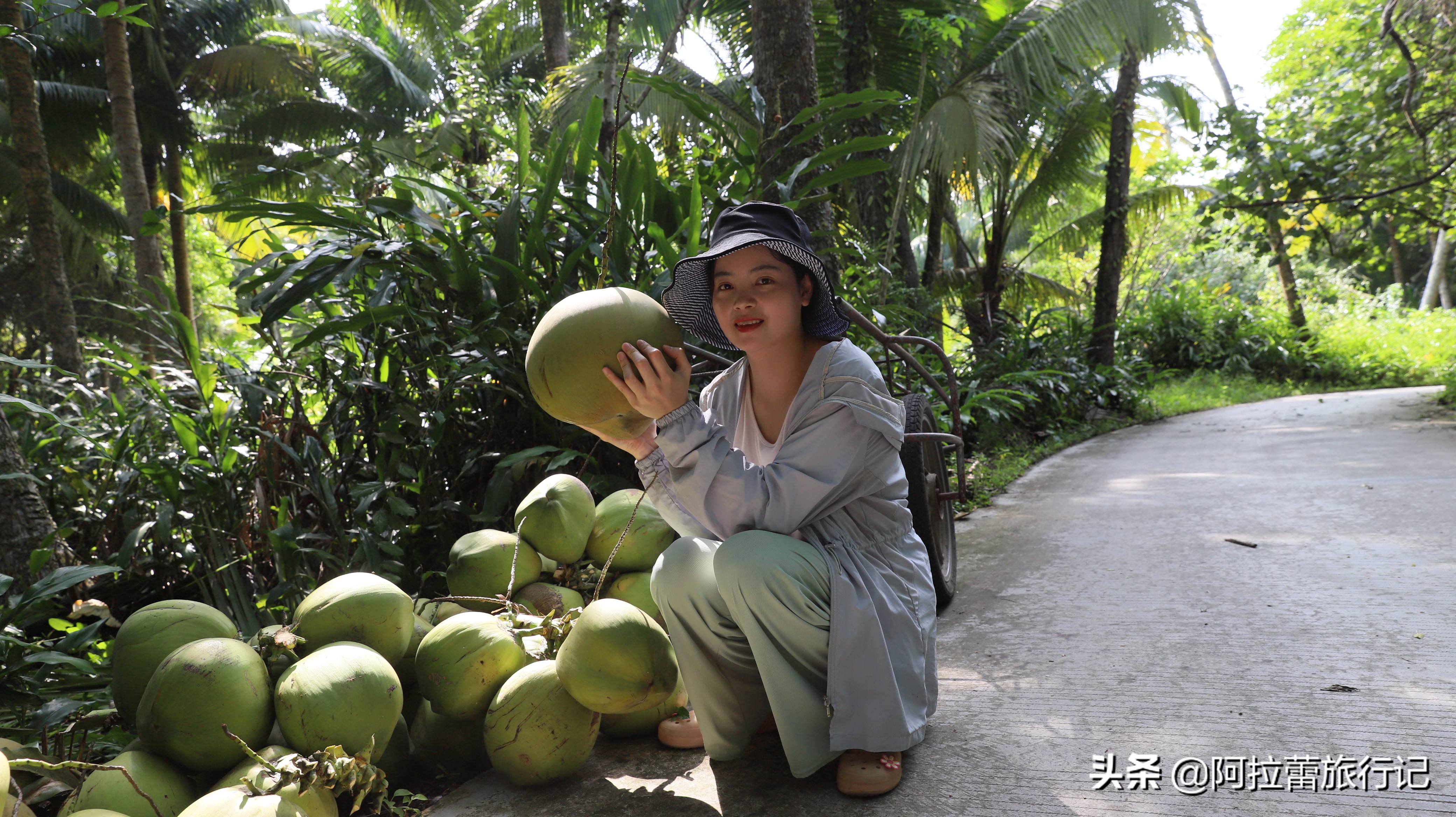 文昌的东郊椰林一大堆椰子,东郊椰林的椰子真的便宜吗