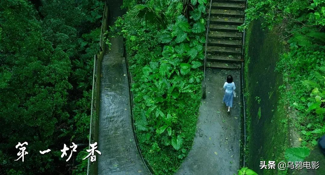 香艳、荒诞、堕落…这么绝的故事，拍不好我真心疼