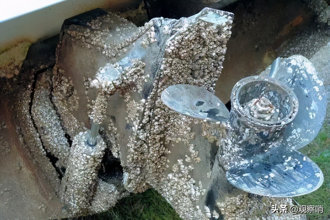 美国海军清理藤壶,美国的航母怎么处理藤壶