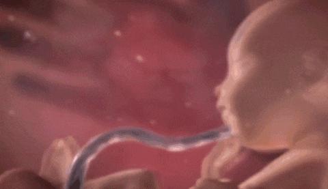 孕妈妈在睡觉时胎宝宝会动吗,孕妇工作时胎儿能睡觉吗