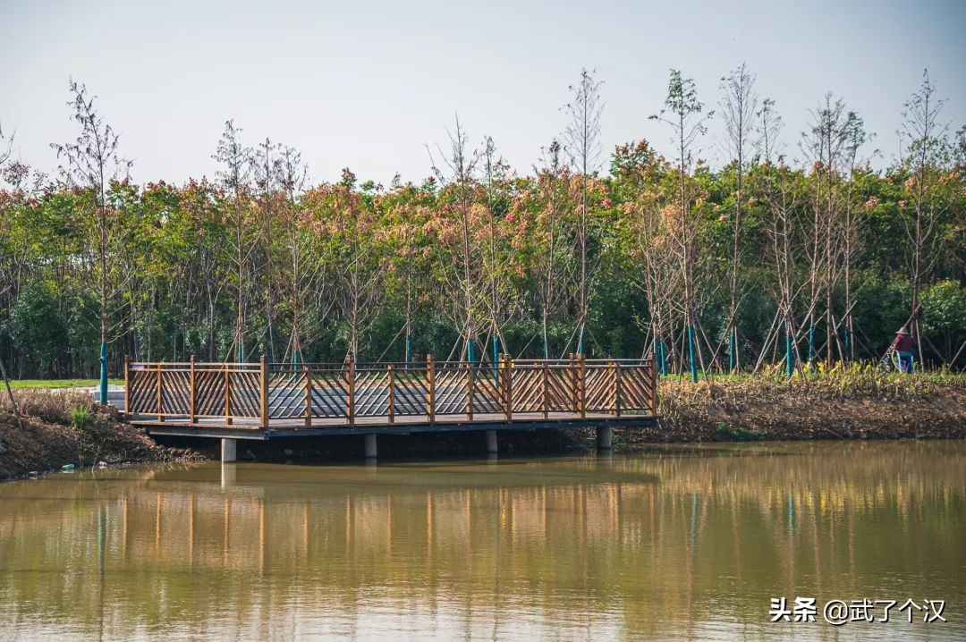 武昌向南择墅而居,这或许是你离理想生活最近的一次