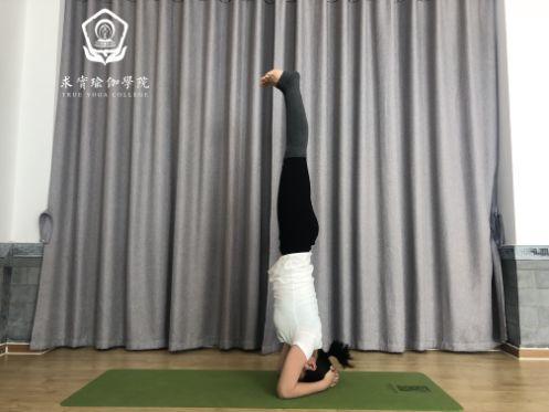 疏通膀胱经络排毒瑜伽,肾经膀胱瑜伽动作