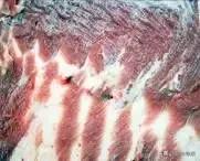 胖东来精肉质检,一头猪的饲养管理方法