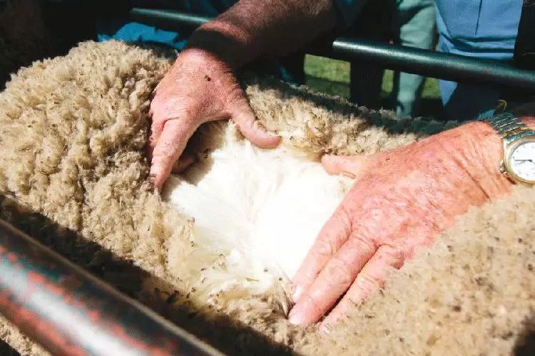 舒服保暖防滑的雪地靴,冬天穿什么样的雪地靴最保暖呢