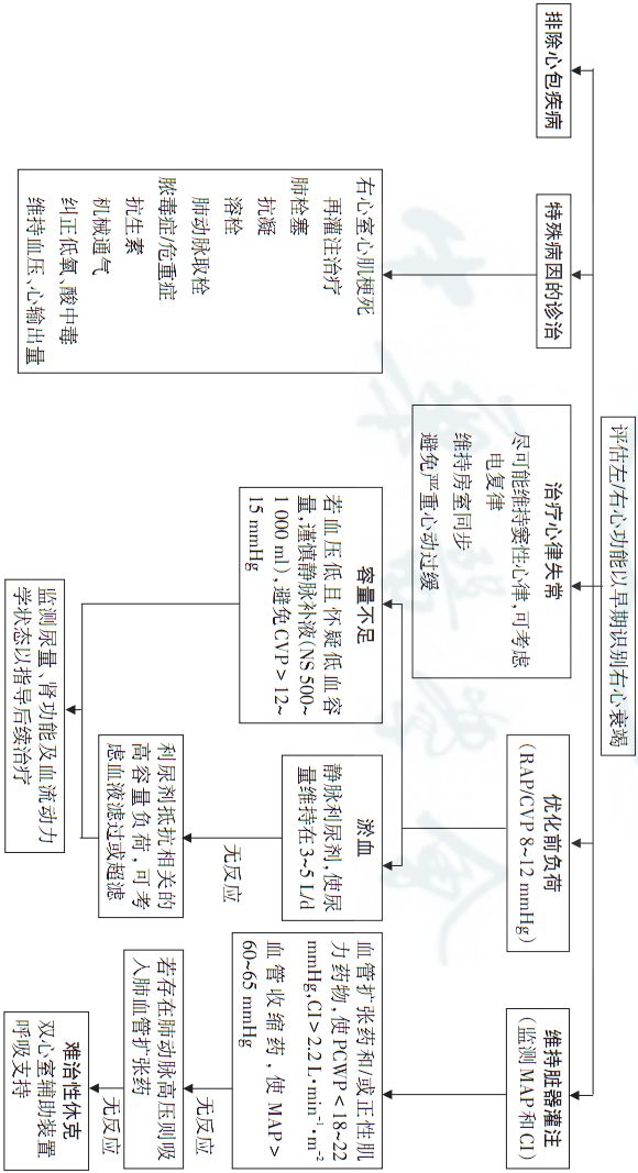 2018心力衰竭诊断与治疗指南解读,中国心力衰竭诊断与治疗指南2019
