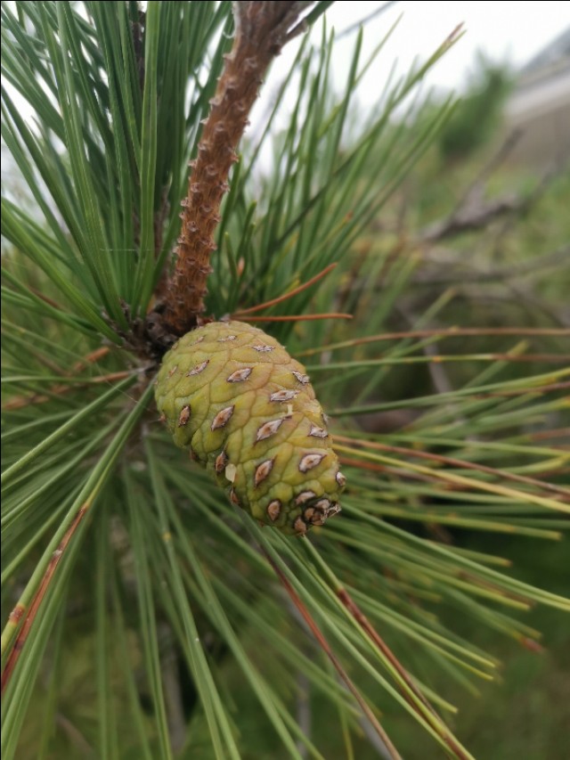 公众人物需要担负什么社会责任,公众人物需要担当更多的道德责任