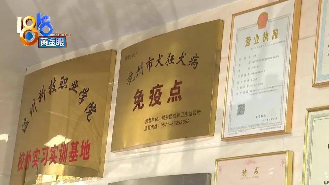 小狗背上一大块斑秃,小狗斑秃起皮屑