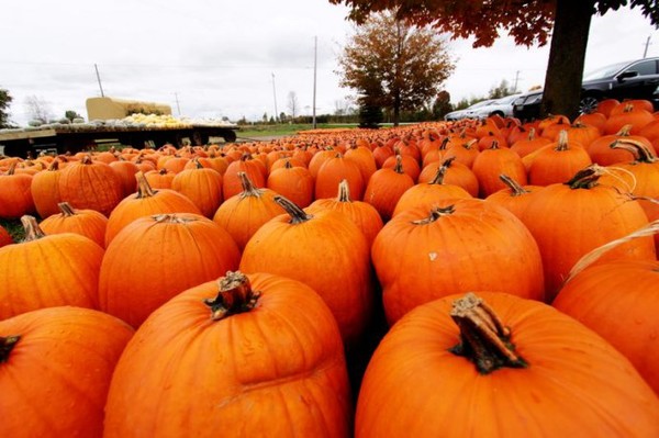 宇宙的大小视频,宇宙的大小是有限还是无限的