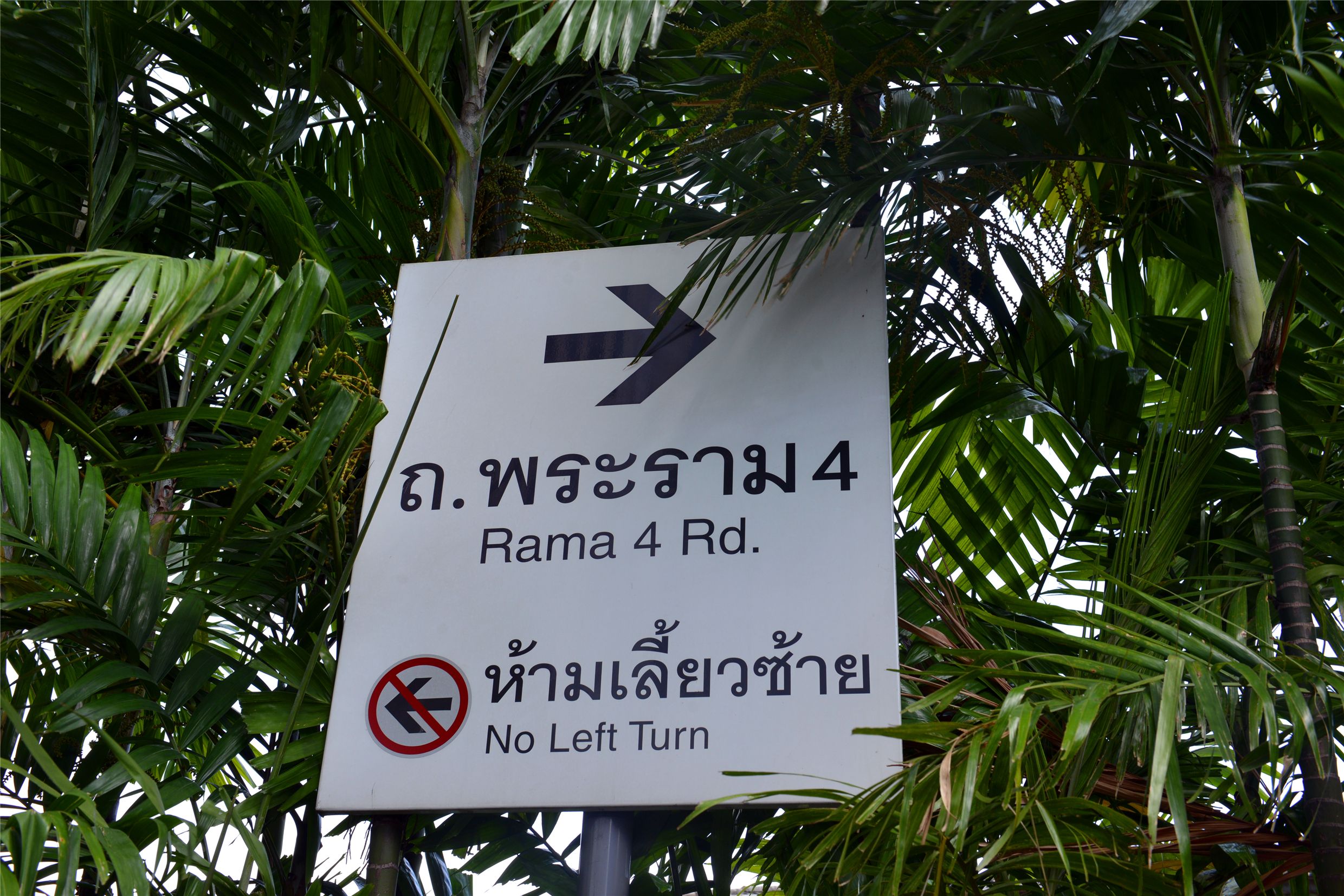 为什么日本用繁体汉字,日本为啥使用汉字