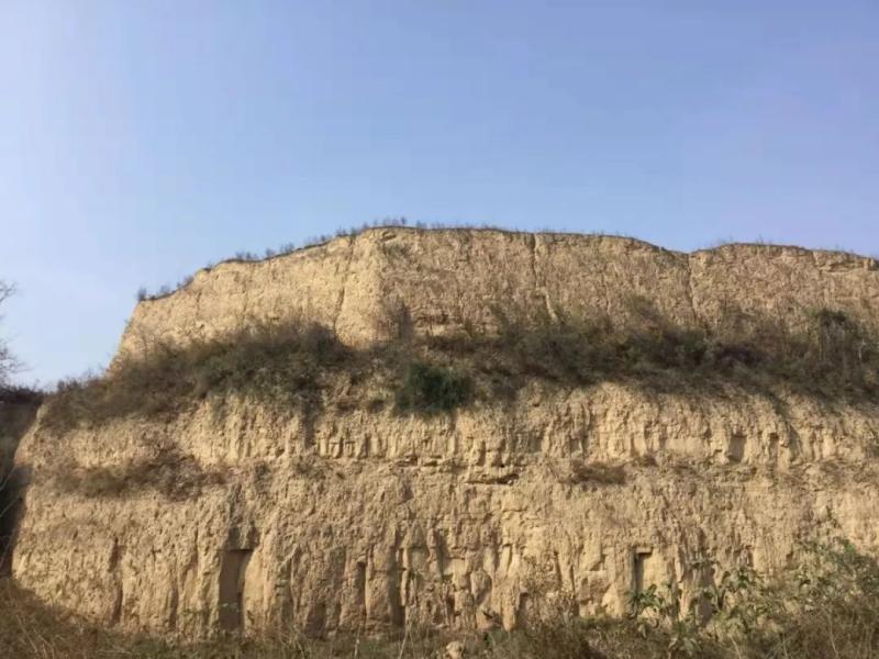 冯宝哲的历史故事,冯宝哲历史事迹