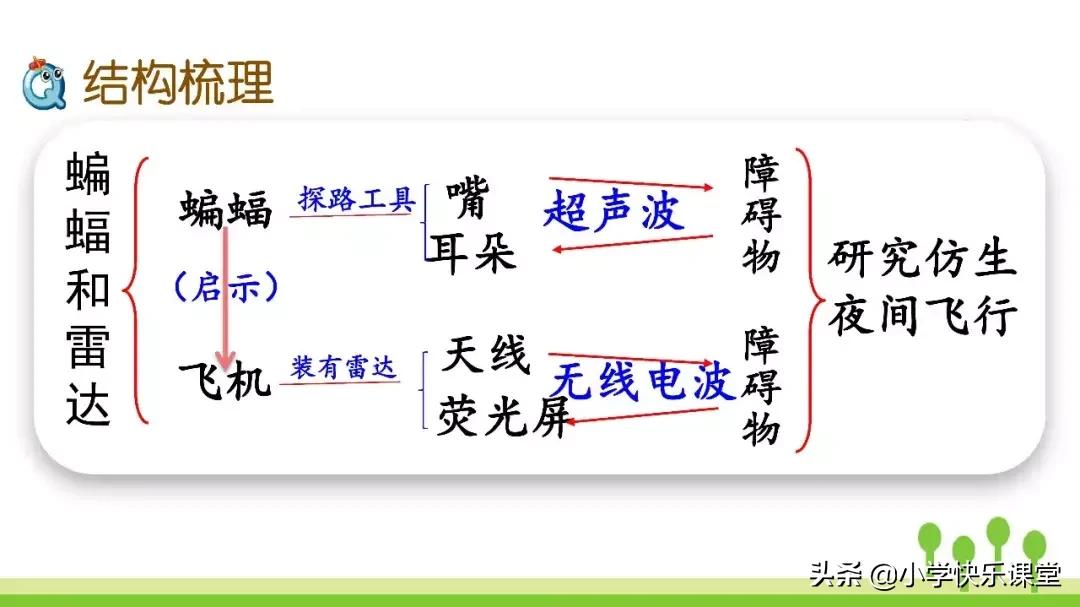 四年级上册语文蝙蝠和雷达课后题,部编版四年级上册语文蝙蝠和雷达