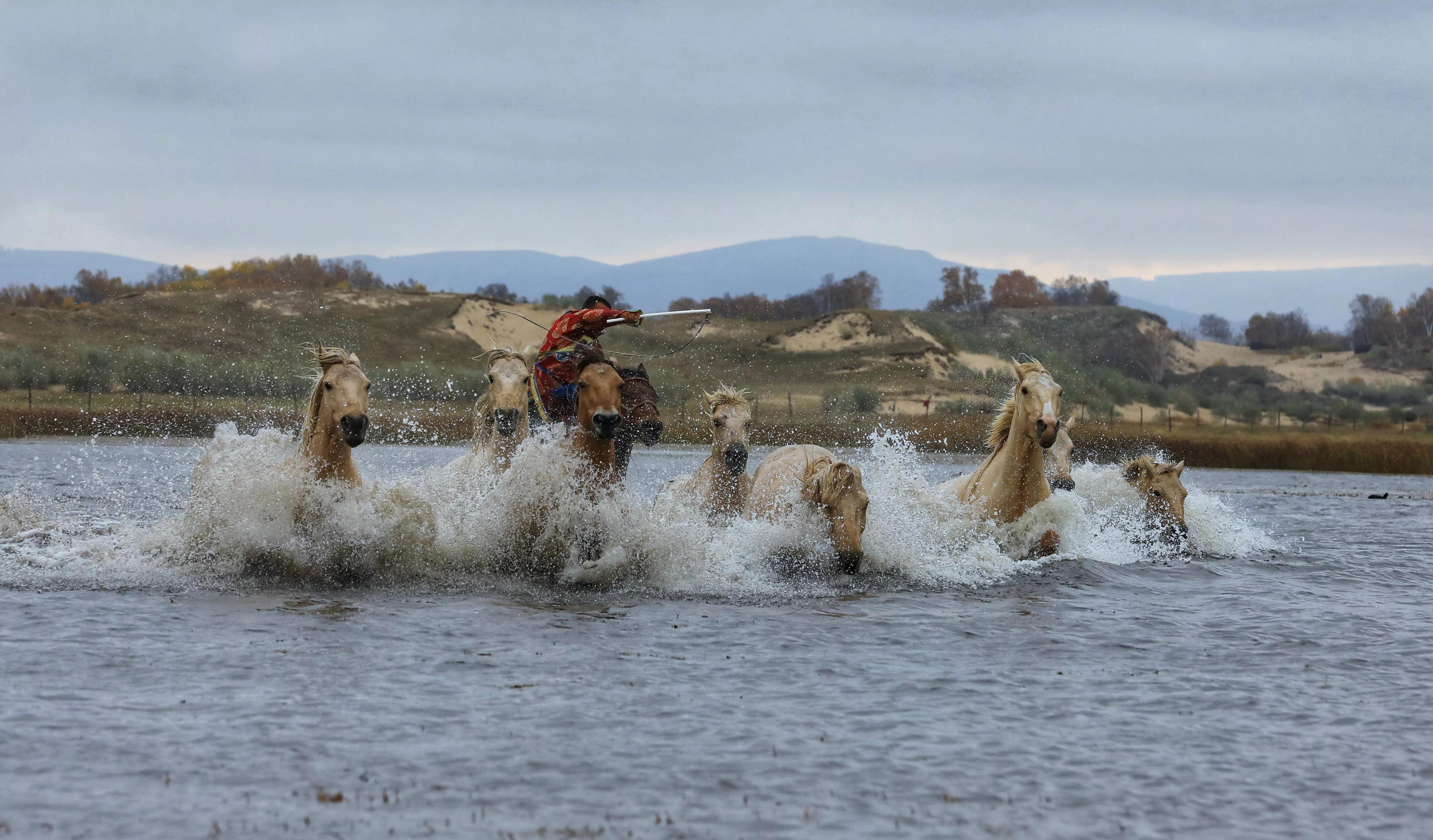 坝上秋色草原,坝上草原游记作文