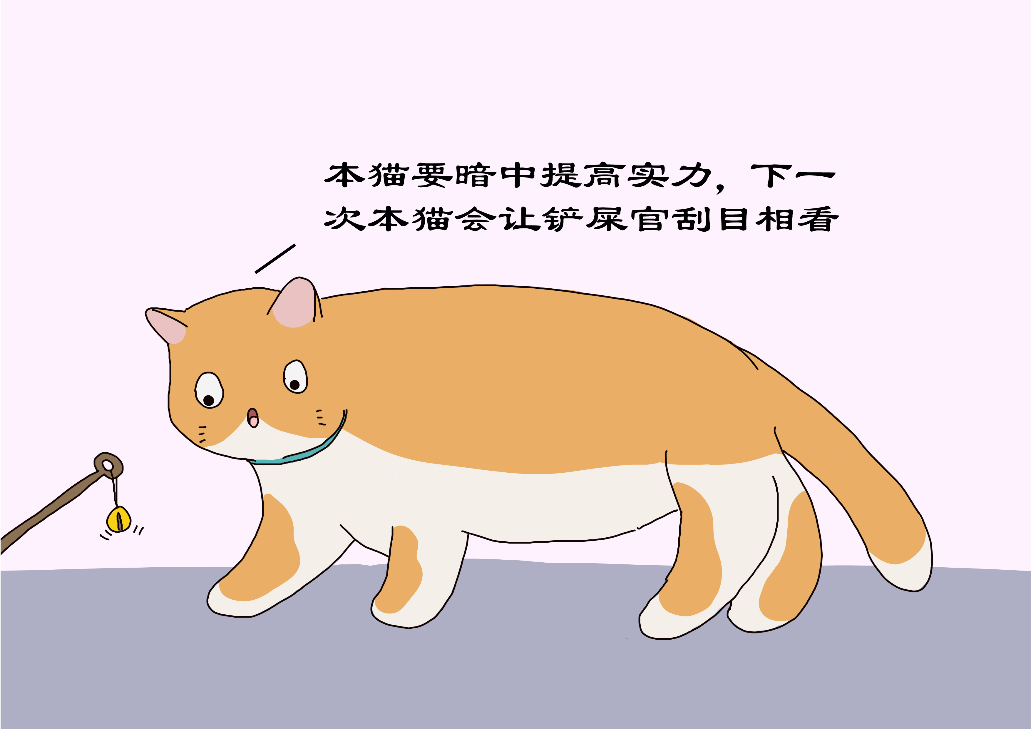 铲屎官养猫注意事项,对猫有利的3种玩耍方式