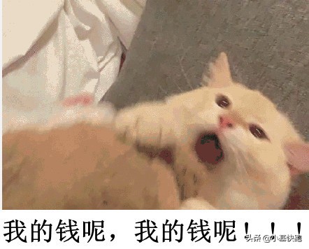 暴跌必有段子:眼前的绿不是绿,你说的牛是什么牛?