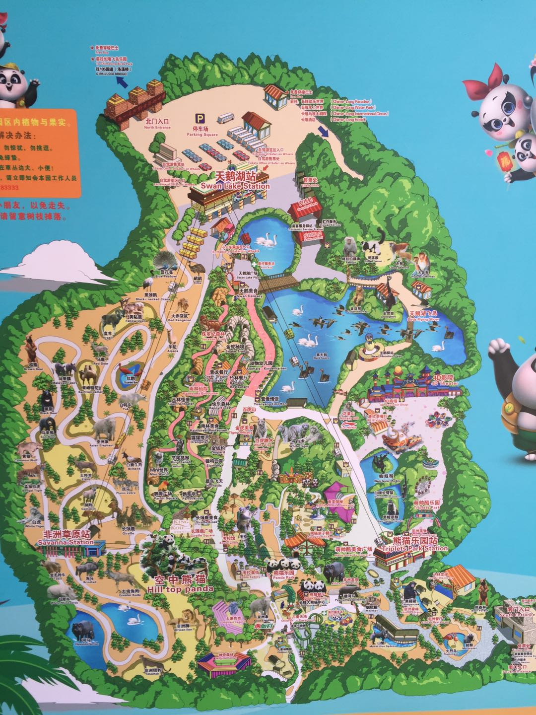 哪里有大熊猫动物园,哪些动物园值得看大熊猫