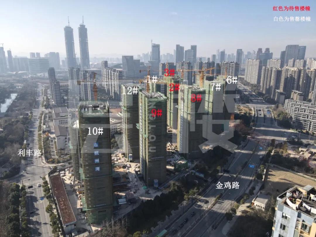 滨江三品摇号技巧,滨江三期什么时候摇号