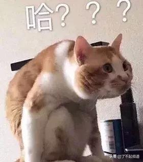 中国人给英国做了一个12306，帮他们买火车票