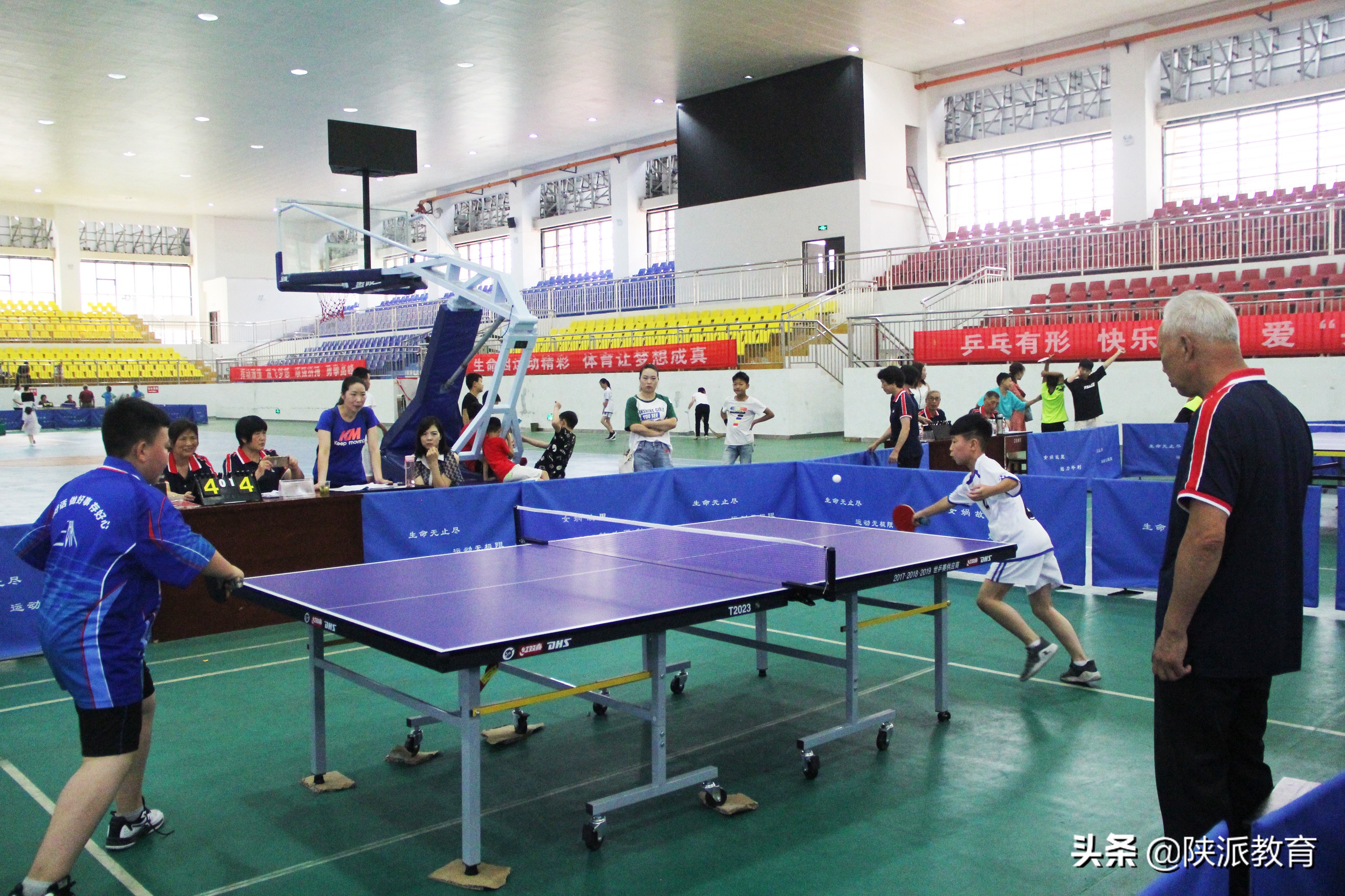 2023平利县球类运动会,平利县2021球类运动会