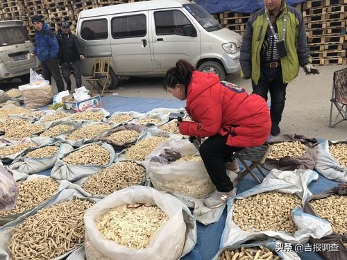 抚松县万良人参交易市场视频,长白山万良人参市场直播