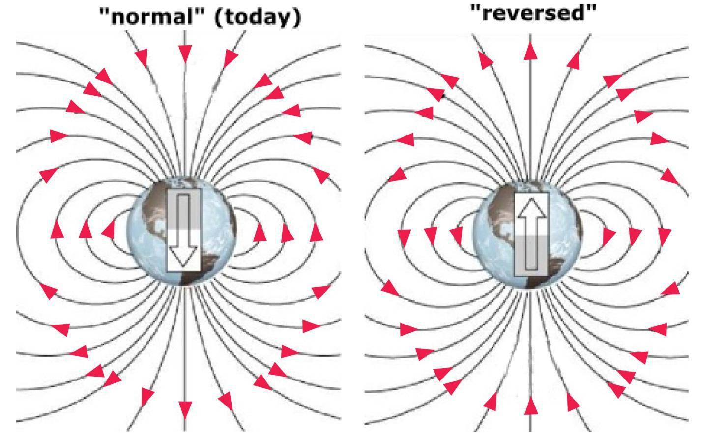 磁极的秘密视频,磁极的秘密小实验