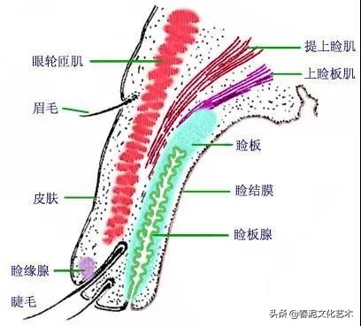 怎么清除美瞳戴过的组织,去除美瞳线的方法