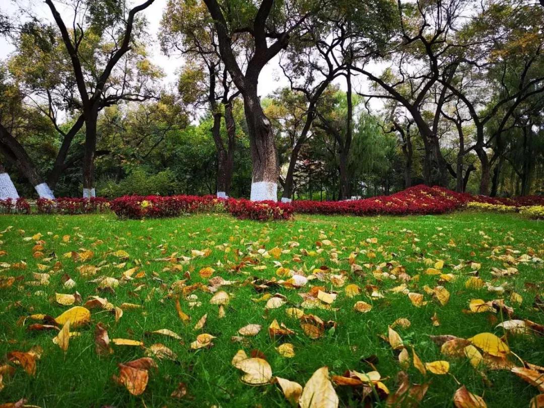 三字经里面三光三才三纲指的是,三字经里三纲者君臣义是什么意思